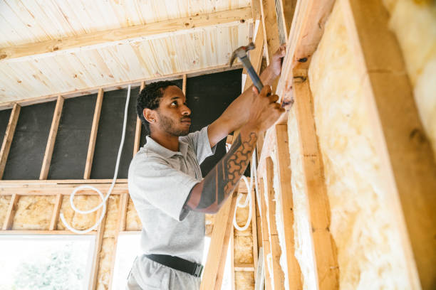 Best Attic Insulation Installation  in Jourdanton, TX